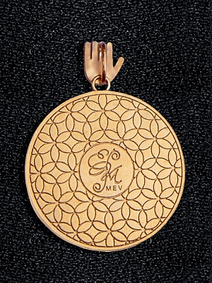 Личный медальон Мехди
